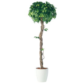 観葉植物 人工 樹木 フィッカスベンジャミナシングル 高さ1800mm Lサイズ 鉢:RP-300