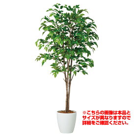 観葉植物 人工 樹木 ベンジャミナスプラッシュトリプル 高さ2000mm Lサイズ 鉢:RP-300