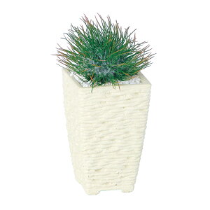 ϗtA lH  AU~T{eWYO[ 220mm TCY :PXNGA(WH)