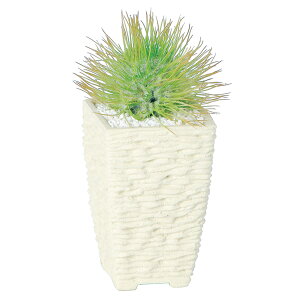 ϗtA lH  AU~T{eXCOCG[ 220mm TCY :PXNGA(WH)