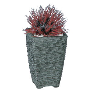 ϗtA lH  AU~T{ebNbh 220mm TCY :PXNGA(BK)