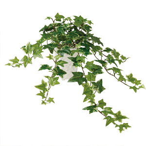 ϗtA lH  Z[WACr[ 600mm SSTCY :PXNGA(WH)