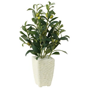 ϗtA lH  CvI[u 400mm PTCY :PXNGA(WH)