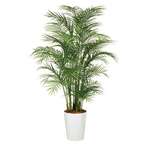 y511`4ԌP5{zϗtA lH  AJVPE MIX 2200mm LLTCY :NI[c360