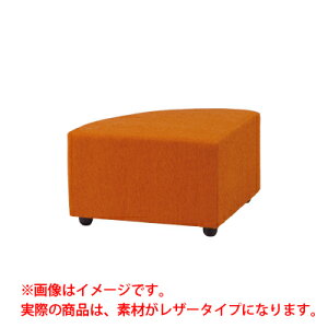 DLCV[Y r[`FA wȂ R[i[ U[ DLCK-21NCL