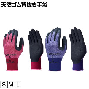 V[ CgObv ƃO[u Ǝ  Ɨp R Ɩp O[u NO341