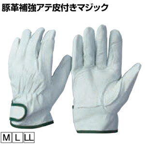 I^tN ؊v⋭Aet }WbN ƃO[u Ǝ  Ɨp R Ɩp O[u R-24