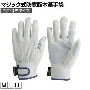 TRUSCO }WbNhؖ{v ĕt^Cv gXR ƃO[u Ǝ  Ɨp R Ɩp O[u TWLG