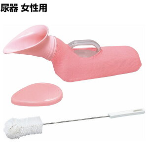 EFt@ A(p)pi ݑ @{ a@ r A ̔A Ar т