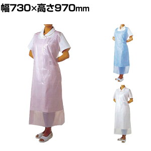 EFt@ |Ճrj[GvP 50 20 ×p p