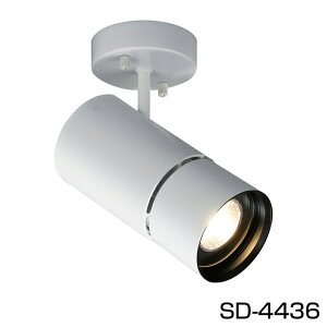 X|bgCg X|bgLED SD-4436