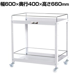 RH c[S RrjS ڂ~ߕt 2i iCLX^[t Ɩp WCFN-2-P 600×s400×660mm