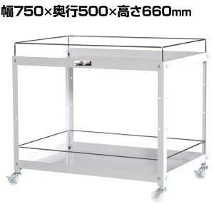 RH c[S RrjS ڂ~ߕt 2i iCLX^[t Ɩp WCWFN-2-P 750×s500×660mm