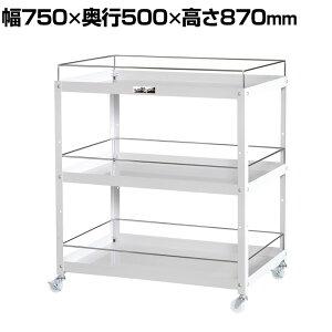 RH c[S RrjS ڂ~ߕt 3i iCLX^[t Ɩp WCWFN-3-P 750×s500×870mm