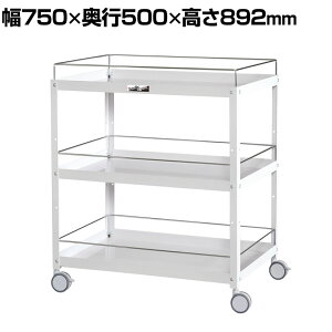 RH c[S RrjS ڂ~ߕt 3i oփLX^[t Ɩp WCWFS-3-P 750×s500×892mm