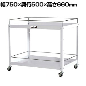 山金工業 ツールワゴン コンビニワゴン こぼれ止め付き 2段 ゴムキャスター付き ゴムキャスター付き 業務用 WCWF-2-P 幅750×奥行500×高さ660mm