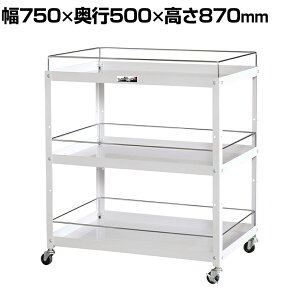 山金工業 ツールワゴン コンビニワゴン こぼれ止め付き 3段 ゴムキャスター付き ゴムキャスター付き 業務用 WCWF-3-P 幅750×奥行500×高さ870mm