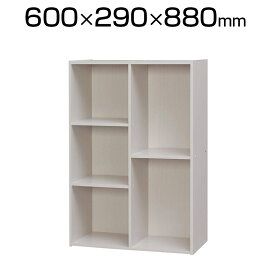 アイリスオーヤマ CBボックス 2列コンビ CX-23C 幅600×奥行290×高さ880mm