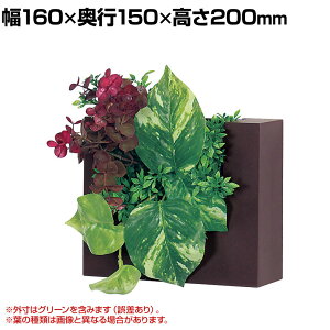 �x���N �t�F�C�N�O���[�� �C���e���A�O���[�� �E�H�[���|�b�g �R�|�b�g �ϗt�A�� �l�H ���� GR4471