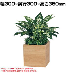 xN tFCNO[ CeAO[ |bg Ԏd؂|bg ϗtA lH  GR4484