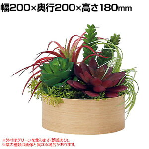 xN tFCNO[ CeAO[ |bg Ԏd؂|bg ϗtA lH  GR4486