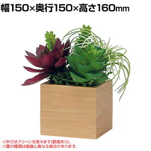 xN tFCNO[ CeAO[ |bg Ԏd؂|bg ϗtA lH  GR4487