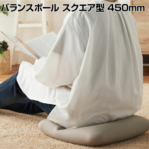 oX{[ oXNbV XNGA^ 450mm RpNg ̊ g[jO O[