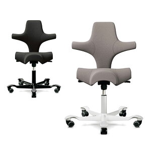 CP8106-150 1 HAG CAPISCO z[O JsXR z ItBX`FA GSm~NX`FA lԍHw vX(PLUS)