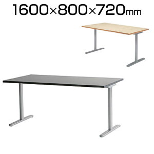 Garage(K[W) fantoni GL t@g[j GL fXN Tr 1600×s800×720mm GL-168H