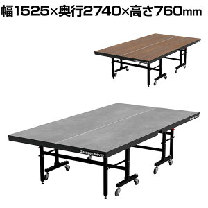 Garage(K[W)×Op cpe[u ~[eBO s|[Ne[u tH[fBO^Cv 1525×s2740×760mm PWFD1514 (싅 SAN-EI)