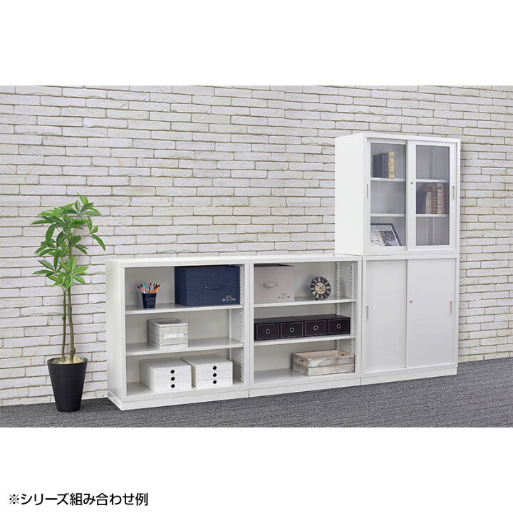 楽天市場】【マットブラック:5月中旬入荷予定】スチール書庫 TS 