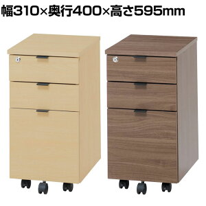 CS fXNS TChS 3i^Cv t obN 310×s400×595mm LX^[t