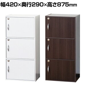 t[{bNX 3i J[{bNX wʉώdグ t t 420×s290×875mm