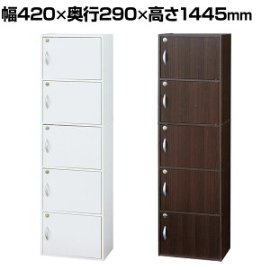 t[{bNX 5i J[{bNX wʉώdグ t t 420×s290×1445mm[{bNX fBXvCbN [bN ؐ [ tbN J[BOX