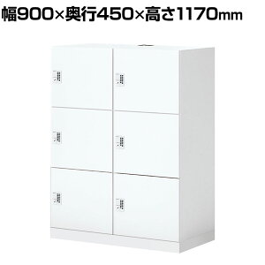 RN Cm iNON X^_[h^Cv p[\ibJ[ [Ȃ ɓd؂S^Cv 6lp vbVI[gbN zCg 900×s450×1170mmtbJ[ t[AhX L