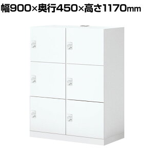 RN Cm iNON X^_[h^Cv p[\ibJ[ [Ȃ ɓd؂S^Cv 6lp _CbN zCg 900×s450×1170mmtbJ[ t[AhX Lrl