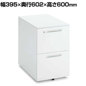 RN iSfXN A2S X`[S A4^Cv {̃zCg 395×s602×600mm SD-IS46A2SAWN4 TChS fXNS fXN[