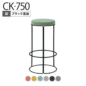 RN CK-750 Xc[ ۈ֎q JE^[`FA nC`FA nC^Cv ubNhr a405×720mm K18-B85C-G2