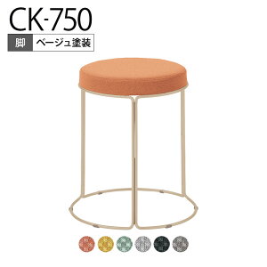 RN CK-750 Xc[ ۈ֎q ~h^Cv x[Whr X^bLO\ a405×455mm K18-Z83C-G2