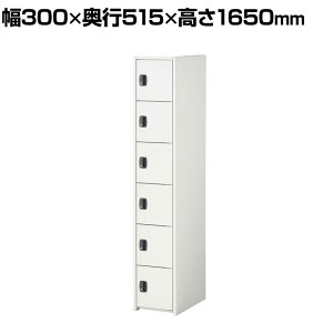 WCgX`[gbJ[ V_[ 1A 6i 6lp zCg { 300×s515×1650mm X`[bJ[ t ItBXbJ[ XbJ[