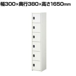 WCgX`[^gbJ[ V_[ 1A 6i 6lp zCg 300×s380×1650mm X`[bJ[ t ItBXbJ[ XbJ[