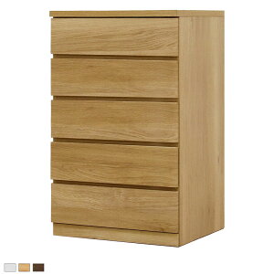 5i`FXg N[[bg[ ߗގ[ ^X [ ˍ Vv Y { 584×s550×922mm