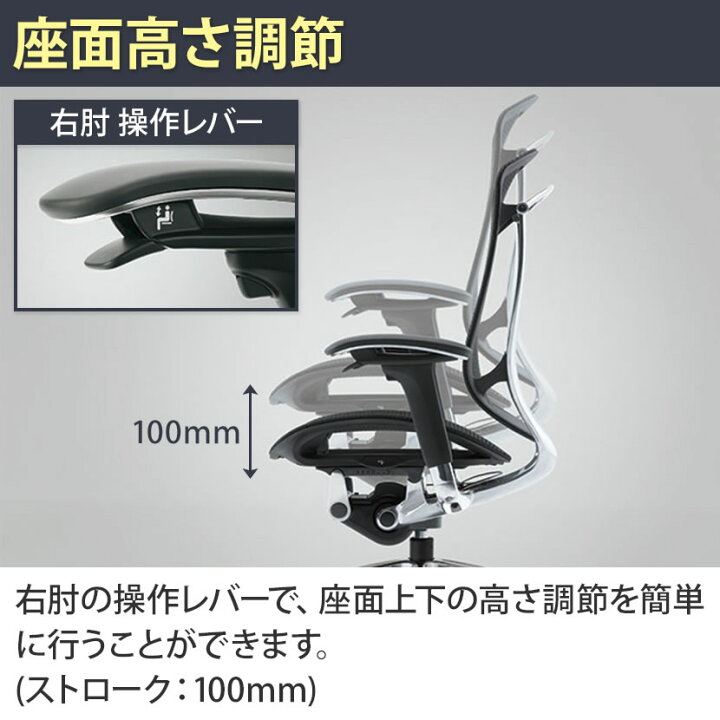 楽天市場】【期間限定P15倍】オカムラ コンテッサ セコンダ Contessa 