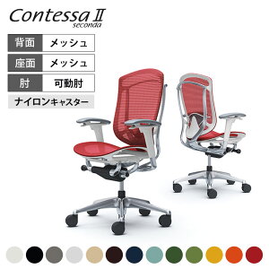 IJ RebTZR_ ContessaII 2 nCobN bV AWXgA[ |bVt[ zCg{fB o[T|[gt CC81BZokamura 쏊 ItBX`FA p\R`