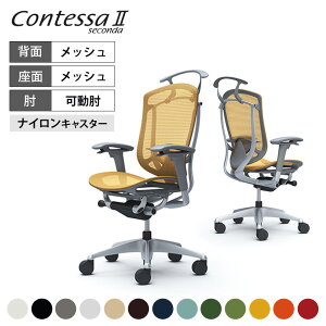 IJ RebTZR_ Contessa II 2 nCobN bV AWXgA[ Vo[t[ O[{fB o[T|[gt nK[t CC82GEokamura 쏊 ItBX`FA p