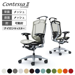 IJ RebTZR_ Contessa II 2 nCobN bV AWXgA[ Vo[t[ ubN{fB o[T|[gt nK[t CC82GSokamura 쏊 ItBX`FA 