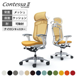 IJ RebTZR_ Contessa II 2 GNXgnCobN ^ŒwbhXg NbV AWXgA[ |bVt[ zCg{fB nK[t CC88BWokamura 쏊