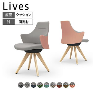 CD43YR | CuX [N`FA Lives Work Chair ItBX`FA ֎q [^Cv ؋r ubN{fB ؋ri`F cC(c[g) (IJ)