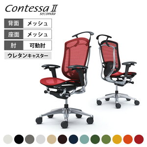 IJ RebTZR_ Contessa II 2 nCobN bV AWXgA[ |bVt[ ubN{fB o[T|[gt nK[t E^LX^[ CC82XSokamura 