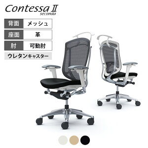 IJ RebTZR_ Contessa II 2 nCobN v AWXgA[ |bVt[ zCg{fB nK[t E^LX^[ CC84XWokamura 쏊 ItBX`FA p\